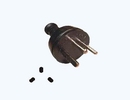 IEC Power Cord, 115