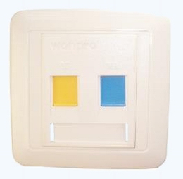 Telephond/Network panel for 2 units use