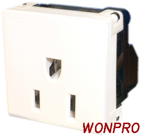 Standard U.S.A receptacle